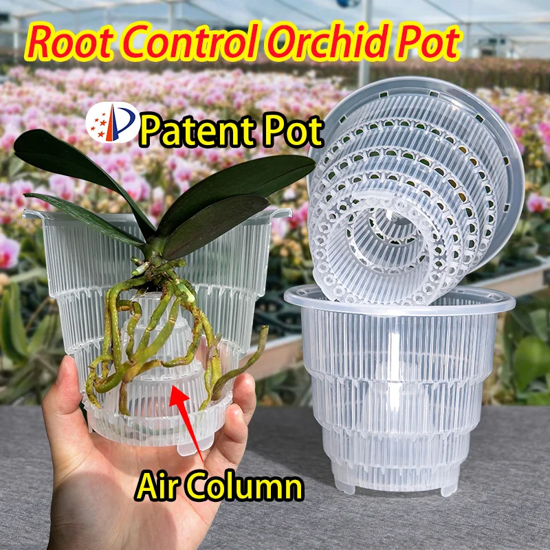 Macetas Transparentes para Orquídeas con Orificios, Macetas para Plantas de Orquídeas Cattleya y Dendrobium, Cachepots de 10cm, 12cm y 15cm, Decoración para el Hogar