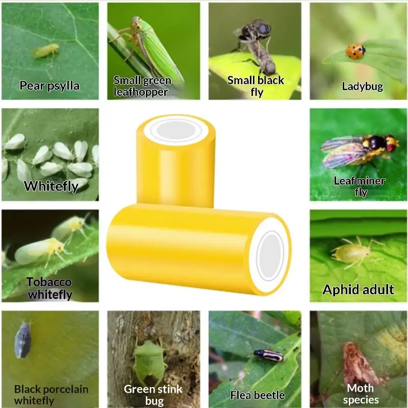1 Rollo de Cinta Adhesiva Amarilla de Doble Cara de 10 Metros para Control de Plagas en el Jardín, Cinta Adhesiva para Pulgones, Hormigas, Polillas e Insectos Trepadores