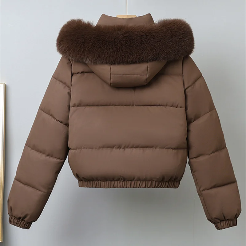 Parkas cortas de invierno para mujer, ropa acolchada de algodón, prendas de vestir exteriores gruesas de terciopelo, abrigos con capucha extraíbles con Cuello de piel, chaquetas cálidas