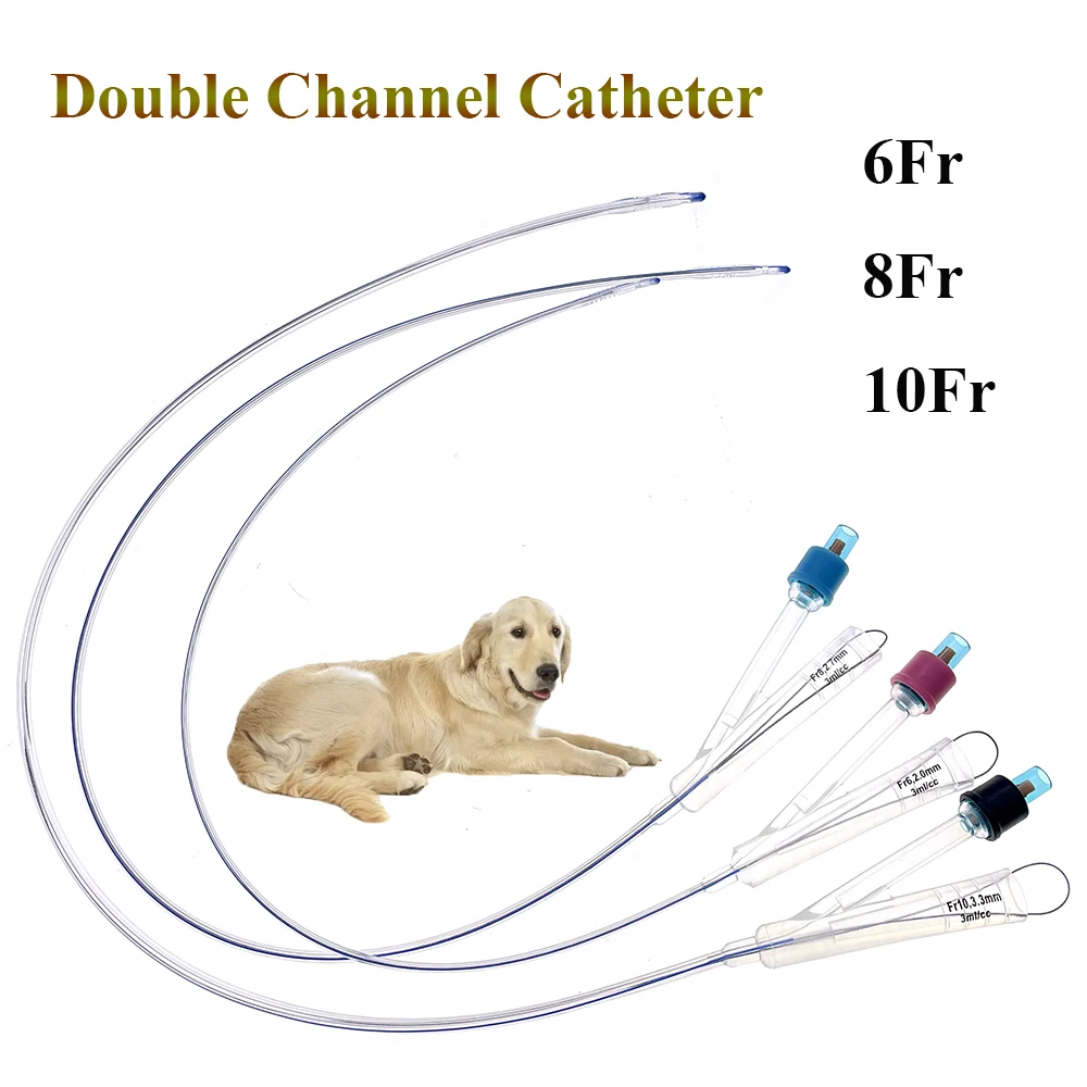 Catéter Foley canino para perro mascota, inducción de larga duración, silicona urinaria bidireccional, perro masculino, alivia la obstrucción uretral con estilete, 5 uds.