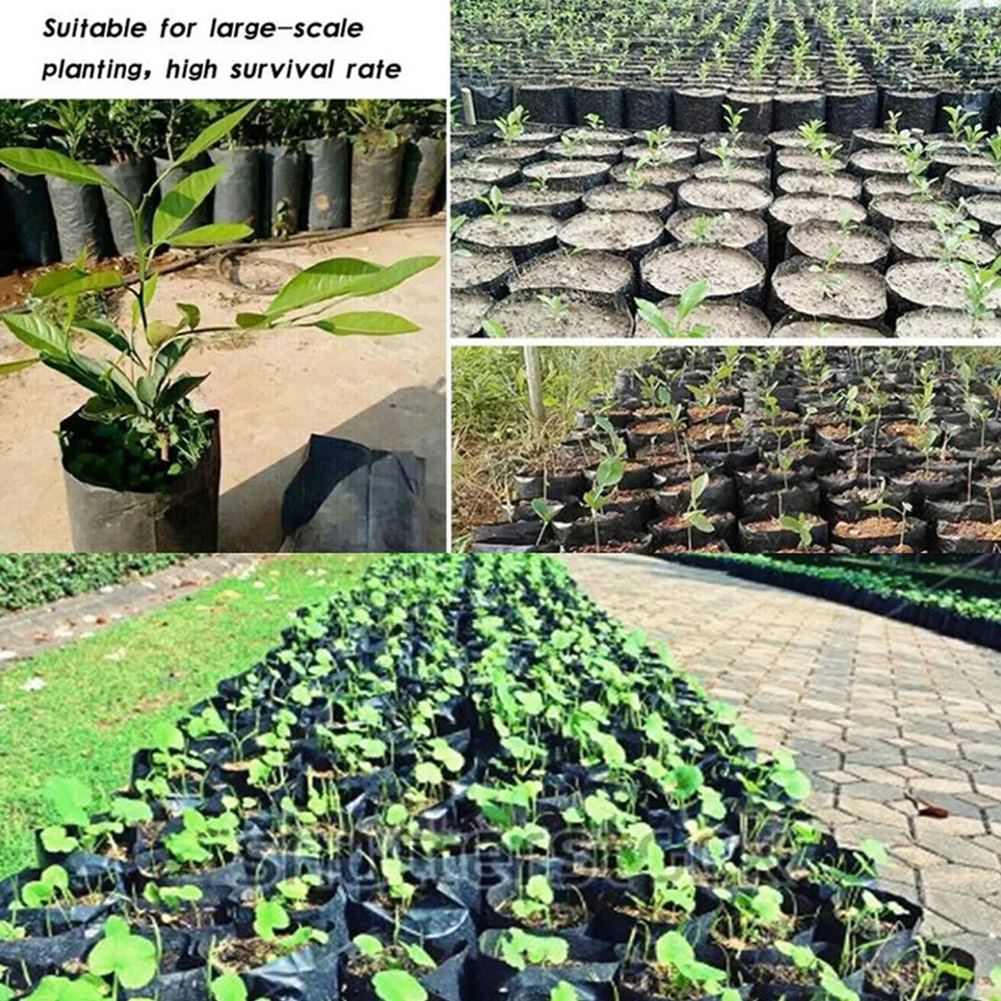 Bolsa de plántulas de Pe para plantas engrosadas de 20 piezas, bolsa de plántulas para jardín verde con agujeros de ventilación, bolsa para plantar bonsái de plantas de árboles frutales