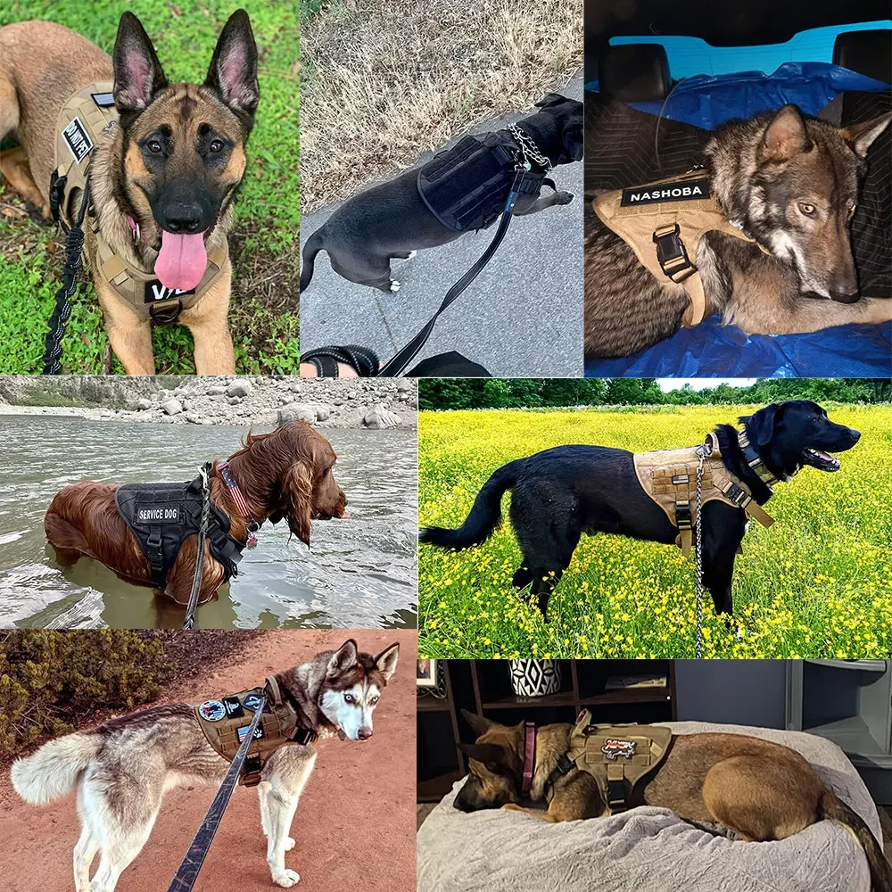 Collar grande para perro, conjunto de arnés y correa para perro, chaleco para mascota, arneses tácticos de pastor alemán para perros pequeños
