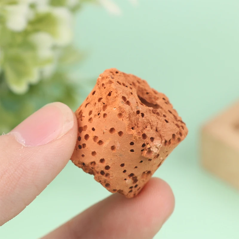 Anillo de fijación para plantas de acuario, filtro de tanque de agua fijo de 10 piezas, herramienta de fijación para plantas de medios acuáticos, anillos de cerámica Gravity