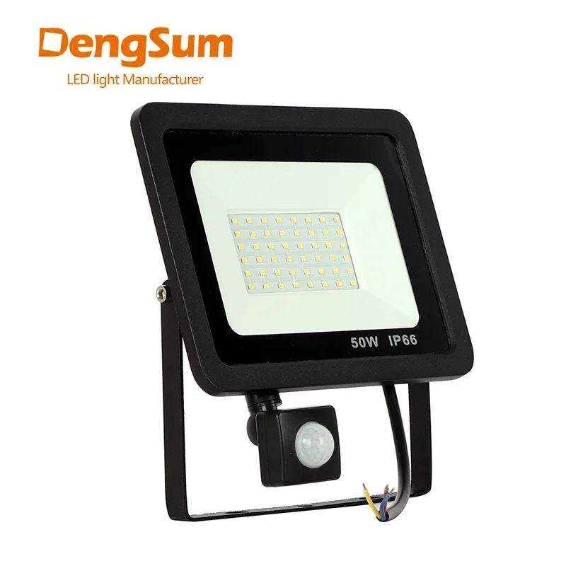 Reflector LED de Inducción de 10W 20W 30W 50W 100W con Sensor PIR Ajustable, 110V 220V, para Iluminación Exterior de Calles y Plazas