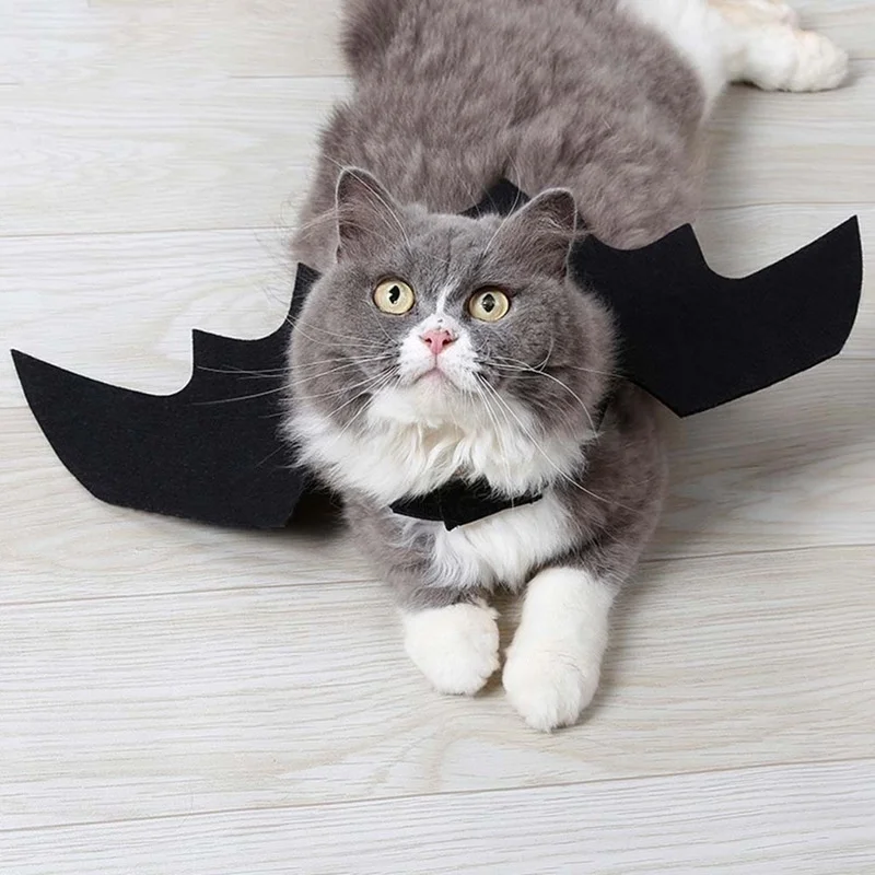 Ropa bonita para mascotas de Halloween, arnés con alas de murciélago negro, disfraz, Cosplay, gato, perro, fiesta de Halloween para suministros para mascotas