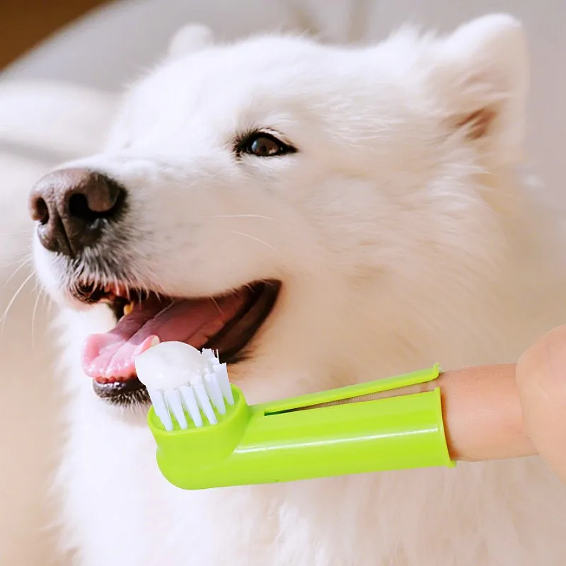 Juego de cepillos de dientes para perros, cepillo de dientes para mascotas, 3 uds., limpieza de dientes para perros, juego de cepillos de dientes para perros, cuidado bucal, cepillo de dientes para gatos, suministros para mascotas