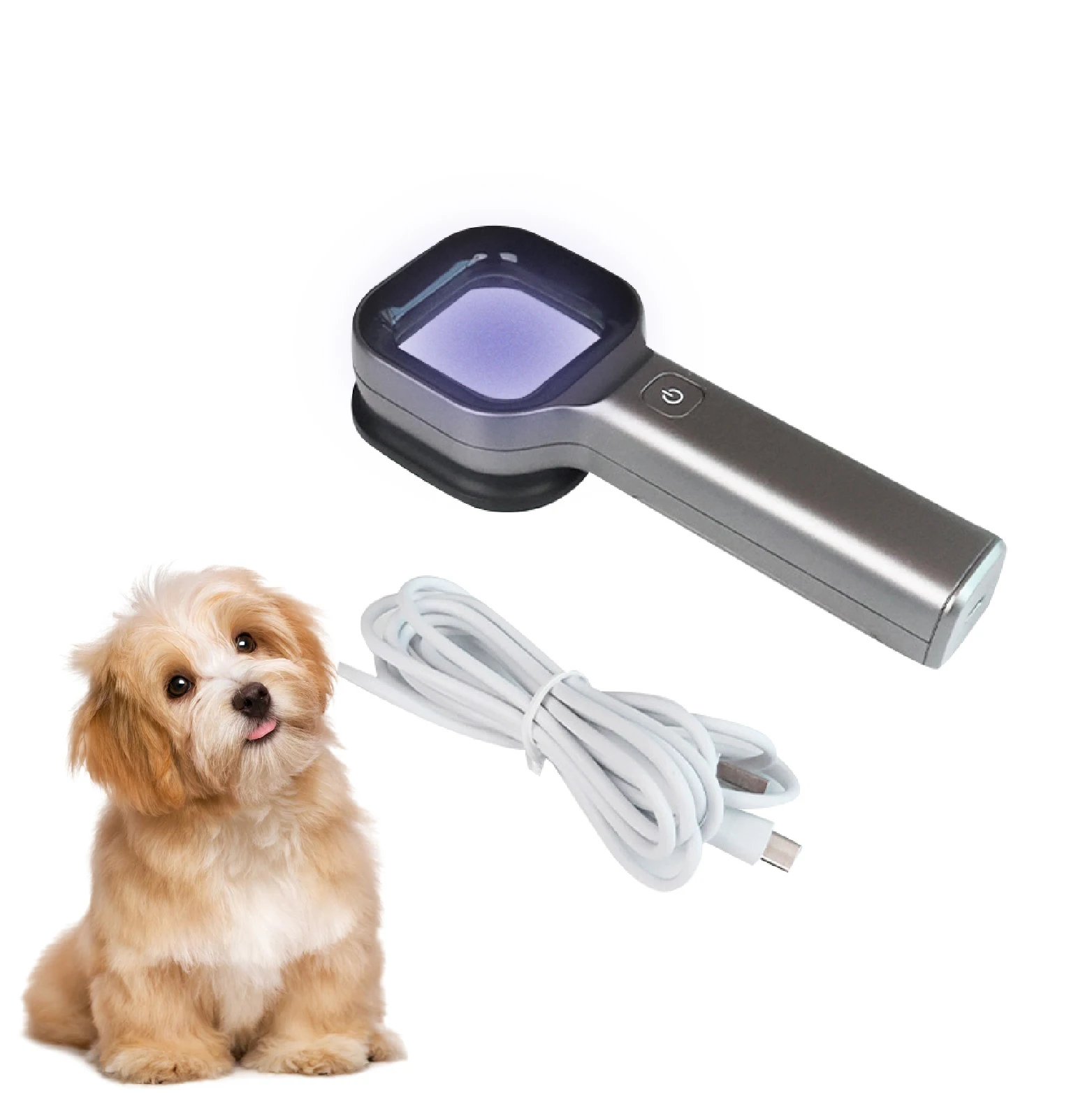 Lámpara de Wood para Mascotas, Recargable por USB, Luz de Filtro Portátil, Accesorios para Diagnóstico de Piel de Mascotas, Clínica