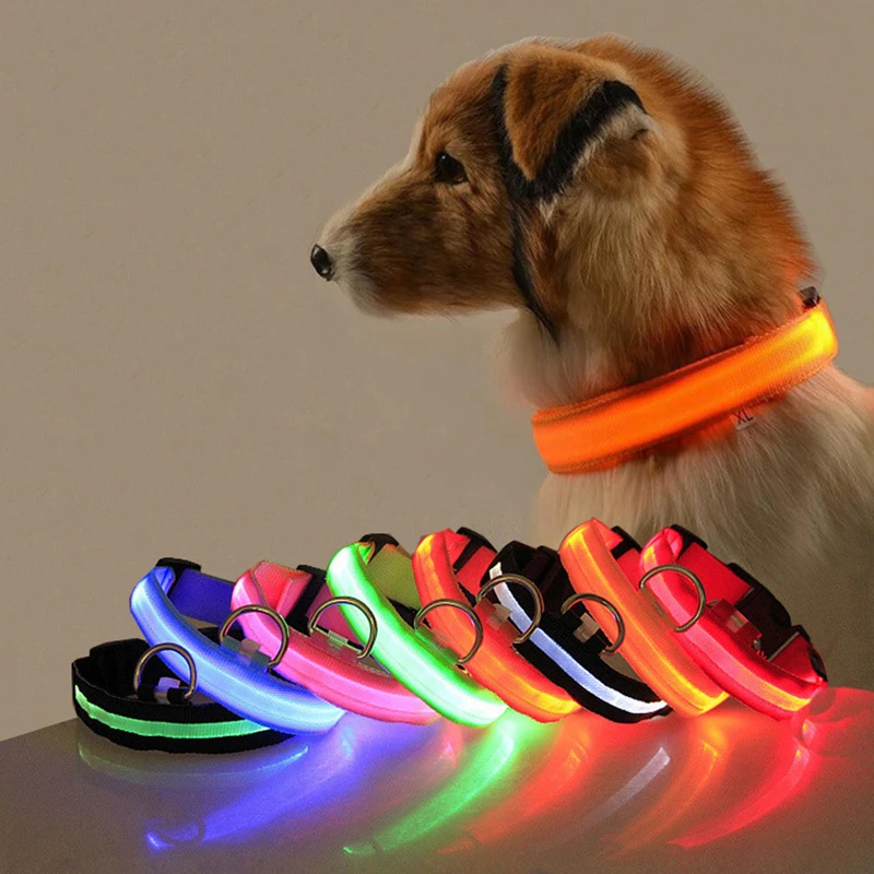 Collar Led para perro, Collar antipérdida para perros, cachorros, suministros luminosos nocturnos, productos para mascotas, accesorios, carga USB/batería