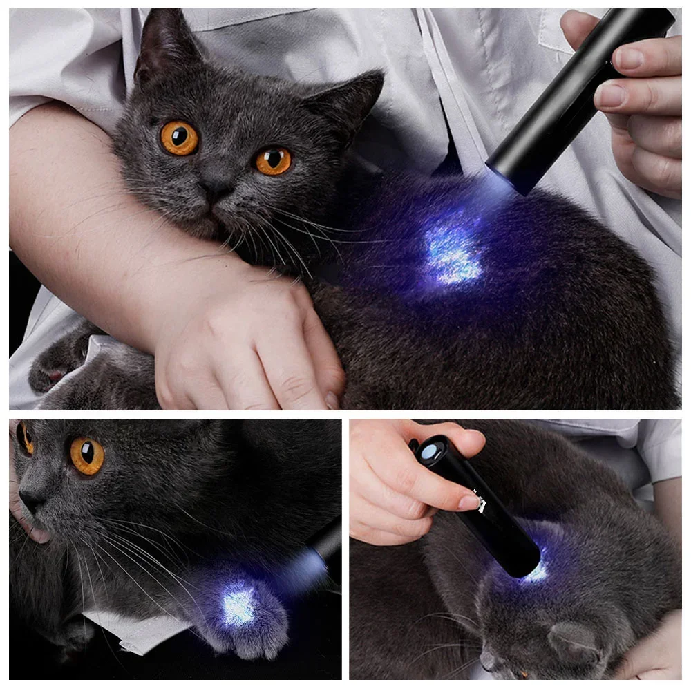 Mini linterna UV recargable por USB, linterna ultravioleta de 3W, orina para mascotas, gato, tiña, dinero, mineral, linternas con detección de escorpión