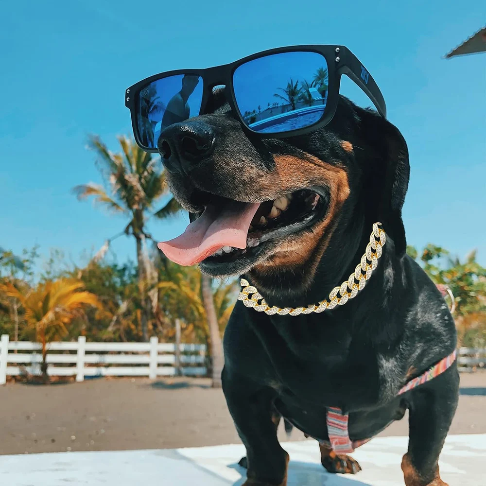 Cadena de oro cubana para perros, Collar de lujo con diamantes para perros, Collar de Metal para mascotas, accesorios de joyería para perros pequeños, medianos y grandes, regalo para mascotas