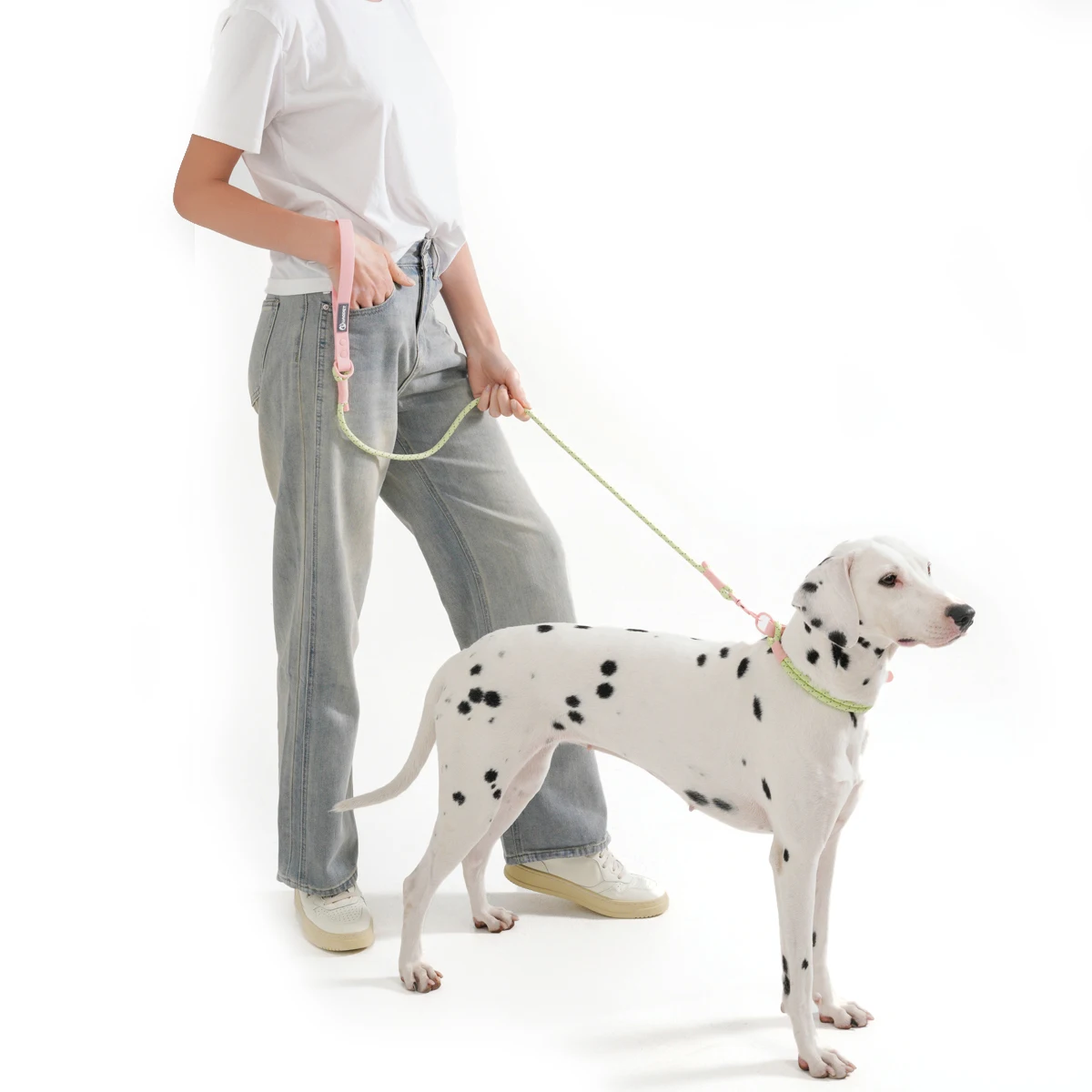 Suministros para Mascotas, Collar para Perros Pequeños y Medianos, Serie Color Caramelo, Estilo Lindo, Collar de PVC con Correa, Conjunto de Correas, Nueva Llegada