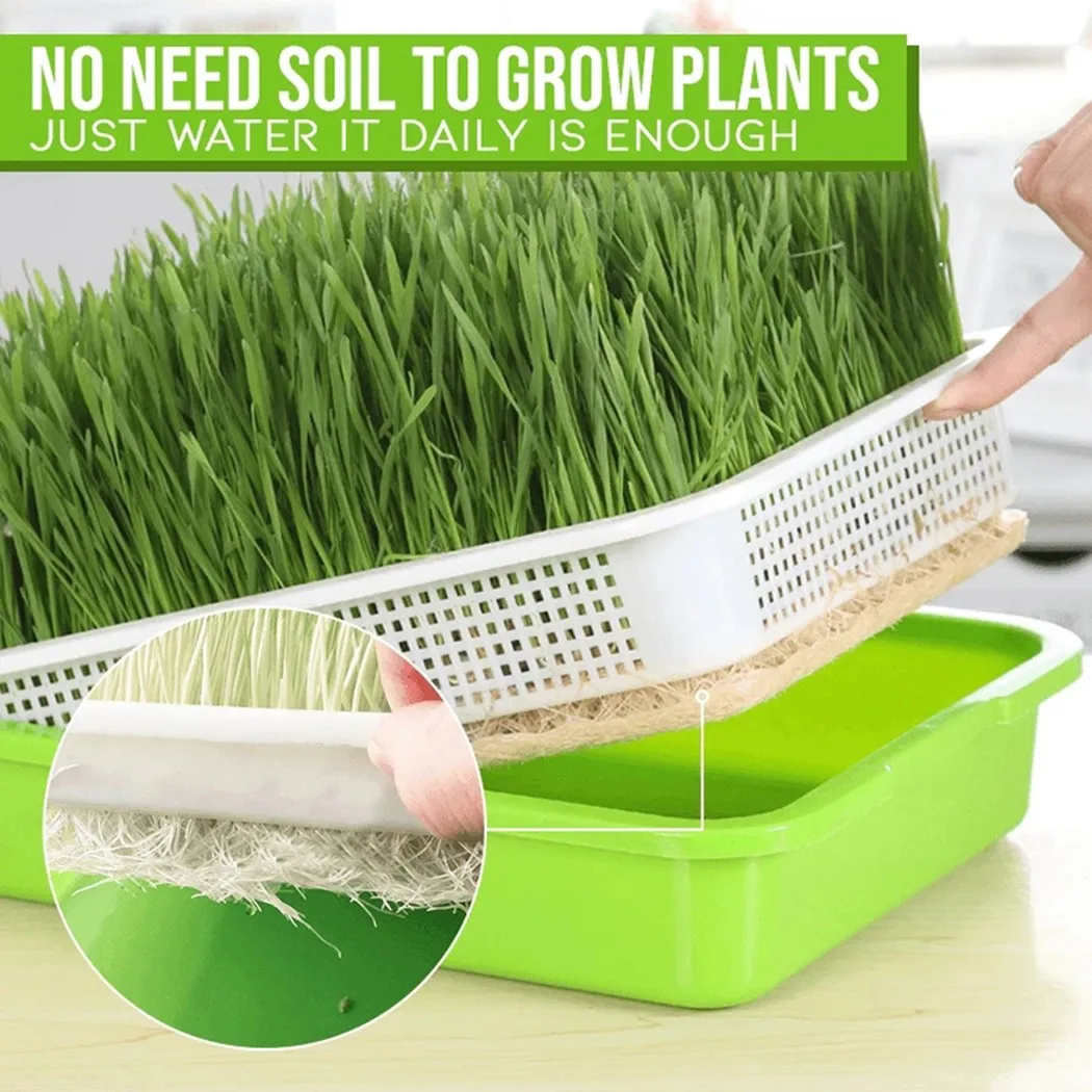 Microgreens-bandeja hidropónica para germinar brotes, hortícola, jardín, vivero, maceta, bricolaje