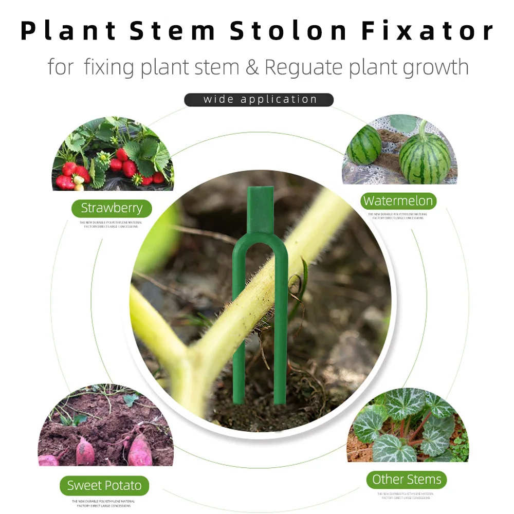 Horquilla de plantación de fresas, fijador de Stolon, dispositivo de prensado de vid de sandía, inserto en el suelo, Clips de fijación de plantas de jardín, 48-108mm