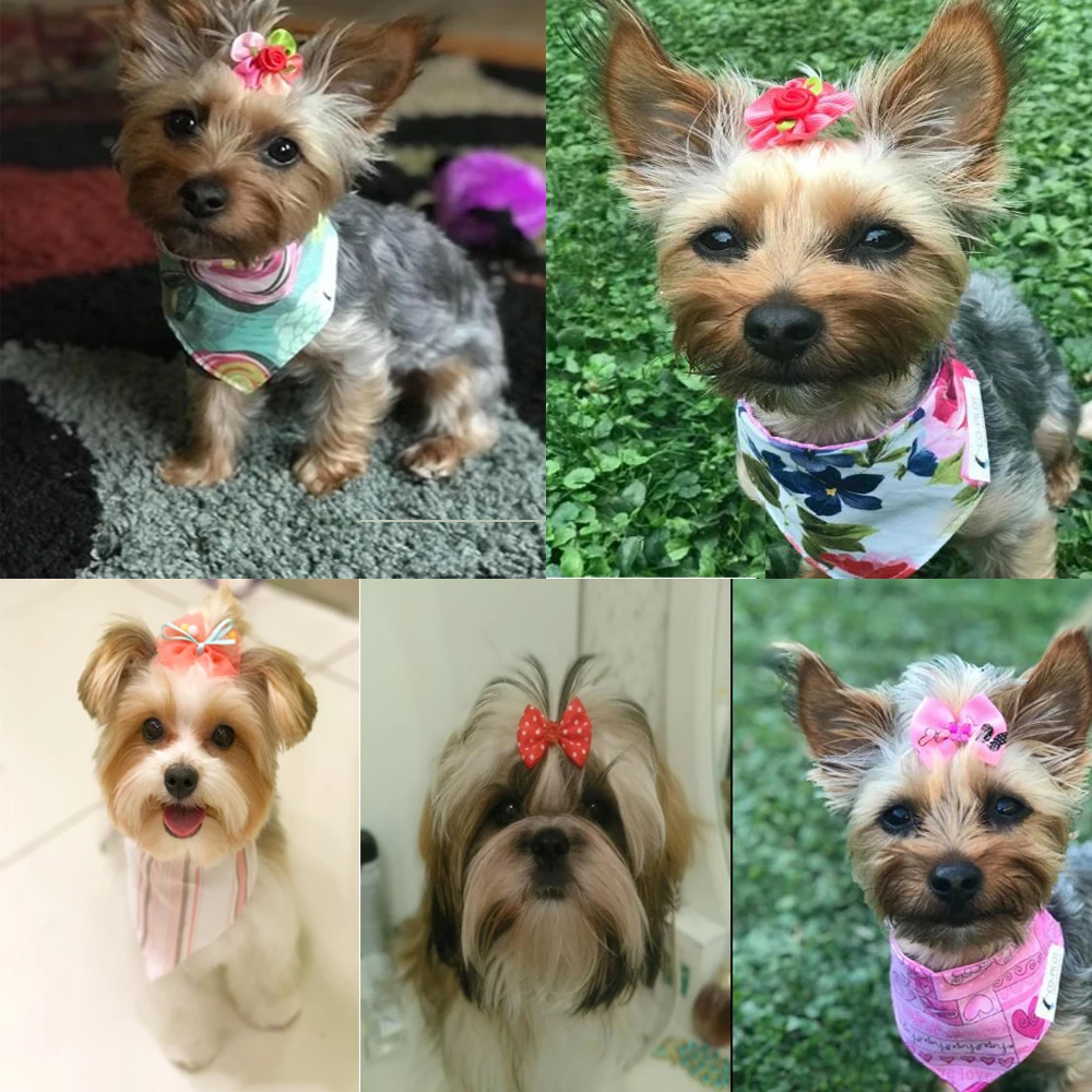 10 uds/20 piezas/30 Uds. Venta al por mayor lazos para el pelo de mascotas lazos para perros bandas de goma con accesorios para perros pequeños suministros para mascotas