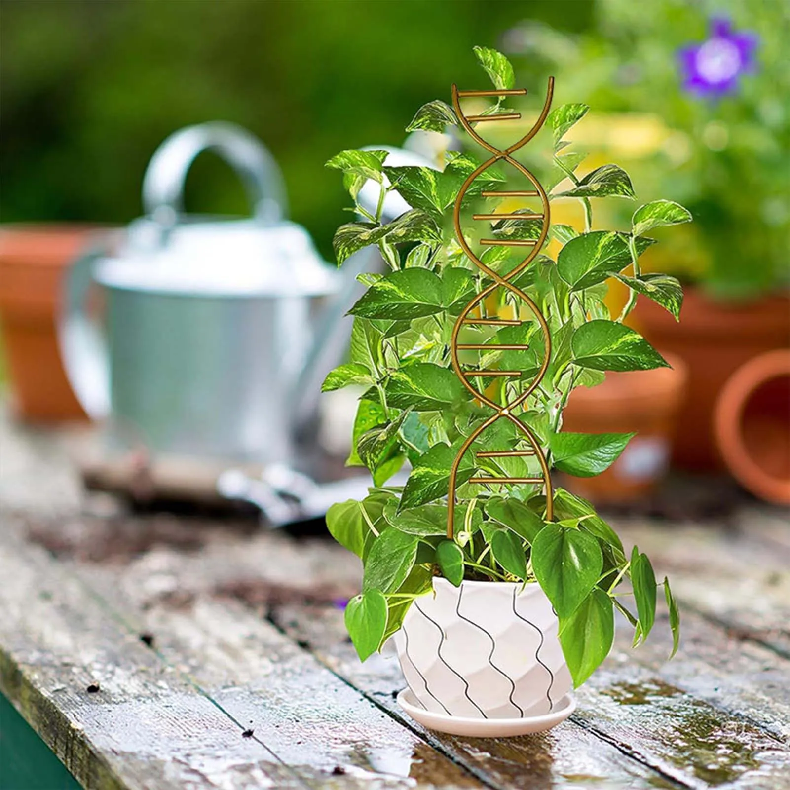 Estante de soporte de Metal para plantas trepadoras, enrejado de plantas, estante trepador de crecimiento de vid, soporte de flores, protección, suministros de jardín