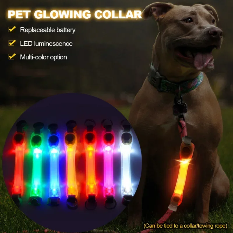 Collar brillante de seguridad antipérdida para perros resistente al agua, colgantes multicolores y tira de luz LED intermitente lista para exteriores, visibilidad nocturna