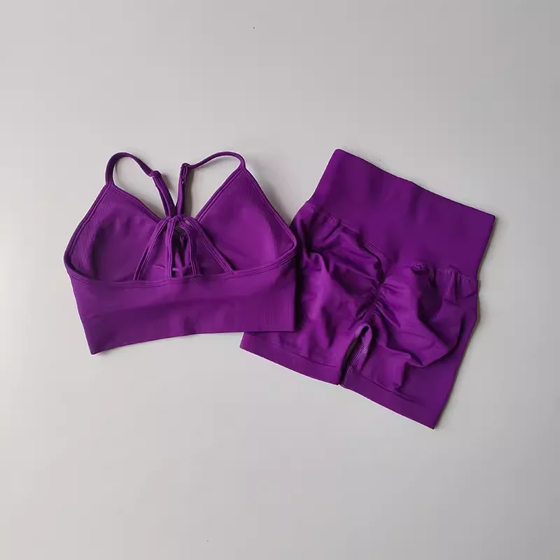 Conjuntos de Yoga de 2 uds., trajes de entrenamiento de cintura alta para mujer, ropa de gimnasio, trajes deportivos, chándal de Fitness, ropa deportiva, pantalones cortos