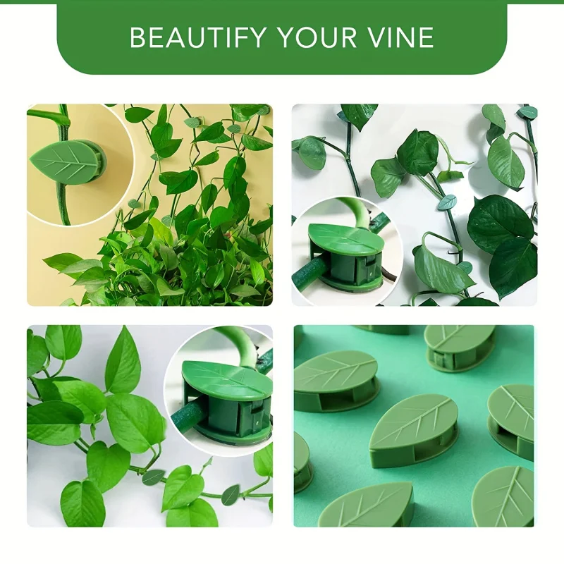 Gancho de fijación autoadhesivo para plantas trepadoras, 10 piezas, Clip de fijación de plantas adhesivas para enredaderas Pothos de jardín