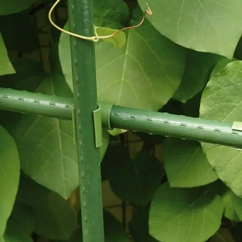 10/50Pcs Green Plant Trellis Connector Clip Stake Clips Vegetable Vine Cross Buckle For Fixed Garden Frame Rod Gardening Tool