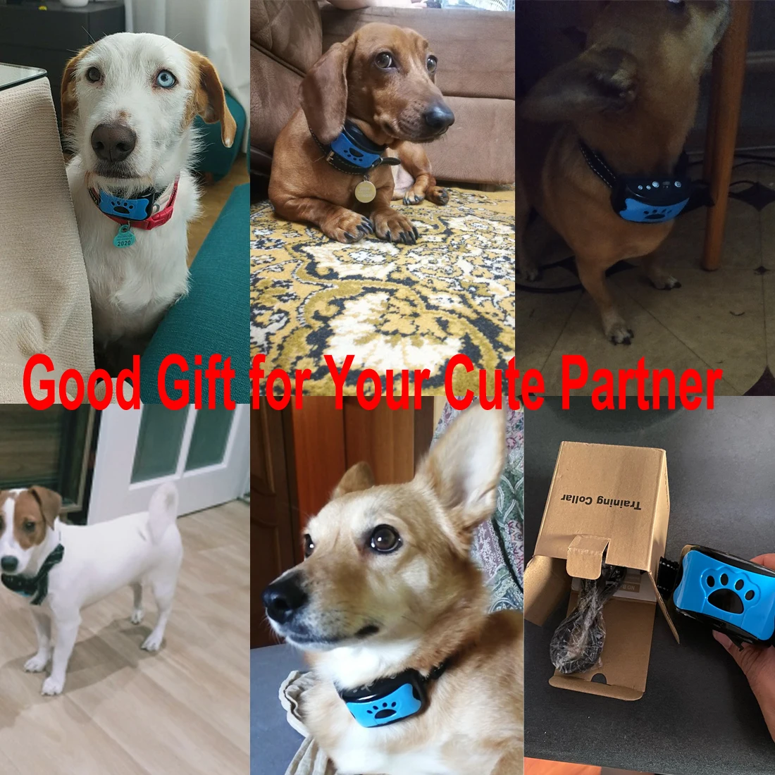 Dispositivo antiladridos para perros, Collar de entrenamiento ultrasónico eléctrico USB para perros, Collar antiladridos con vibración para dejar de ladridos, envío directo