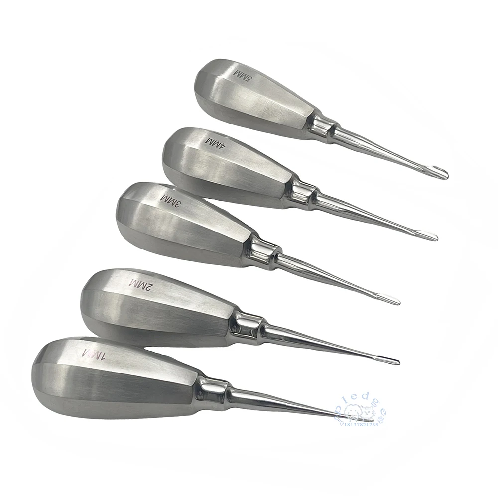 Instrumentos dentales para mascotas, elevadores dentales caninos felinos con ala auxiliar, mango corto, elevadores de raíces rectas, examen Oral