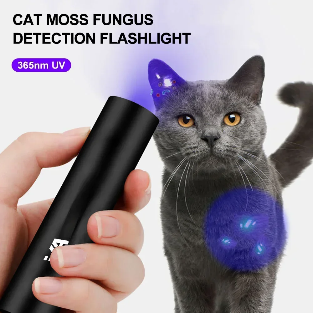 Mini linterna UV recargable por USB, linterna ultravioleta de 3W, orina para mascotas, gato, tiña, dinero, mineral, linternas con detección de escorpión