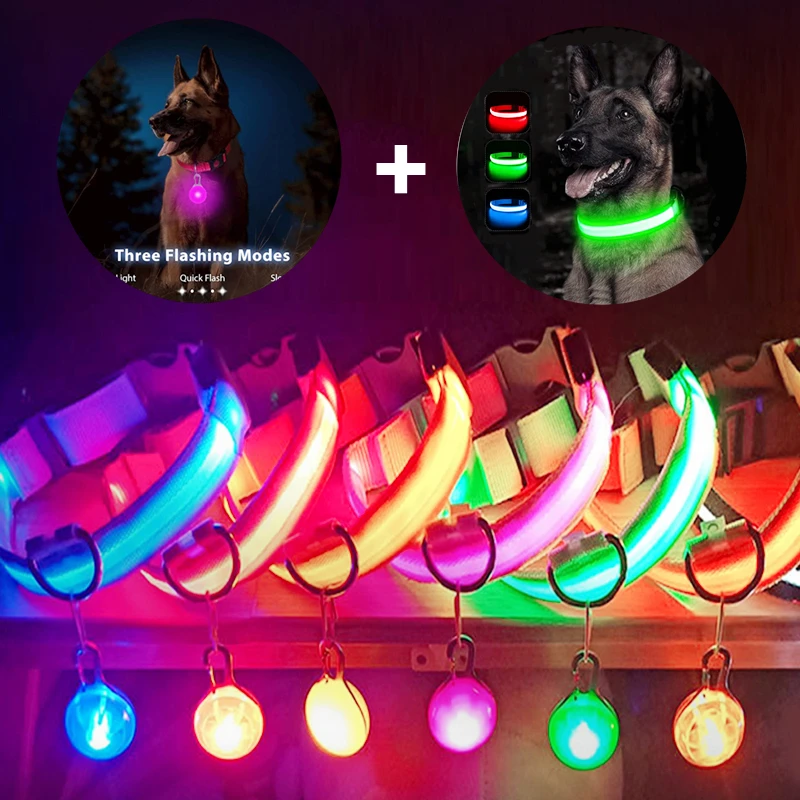 Collar Luminoso USB Recargable para Perros con Colgante Desmontable, Luz LED de Lujo Brillante para Perros Pequeños y Gatos, Collar de Seguridad Nocturna, Venta al Por Mayor