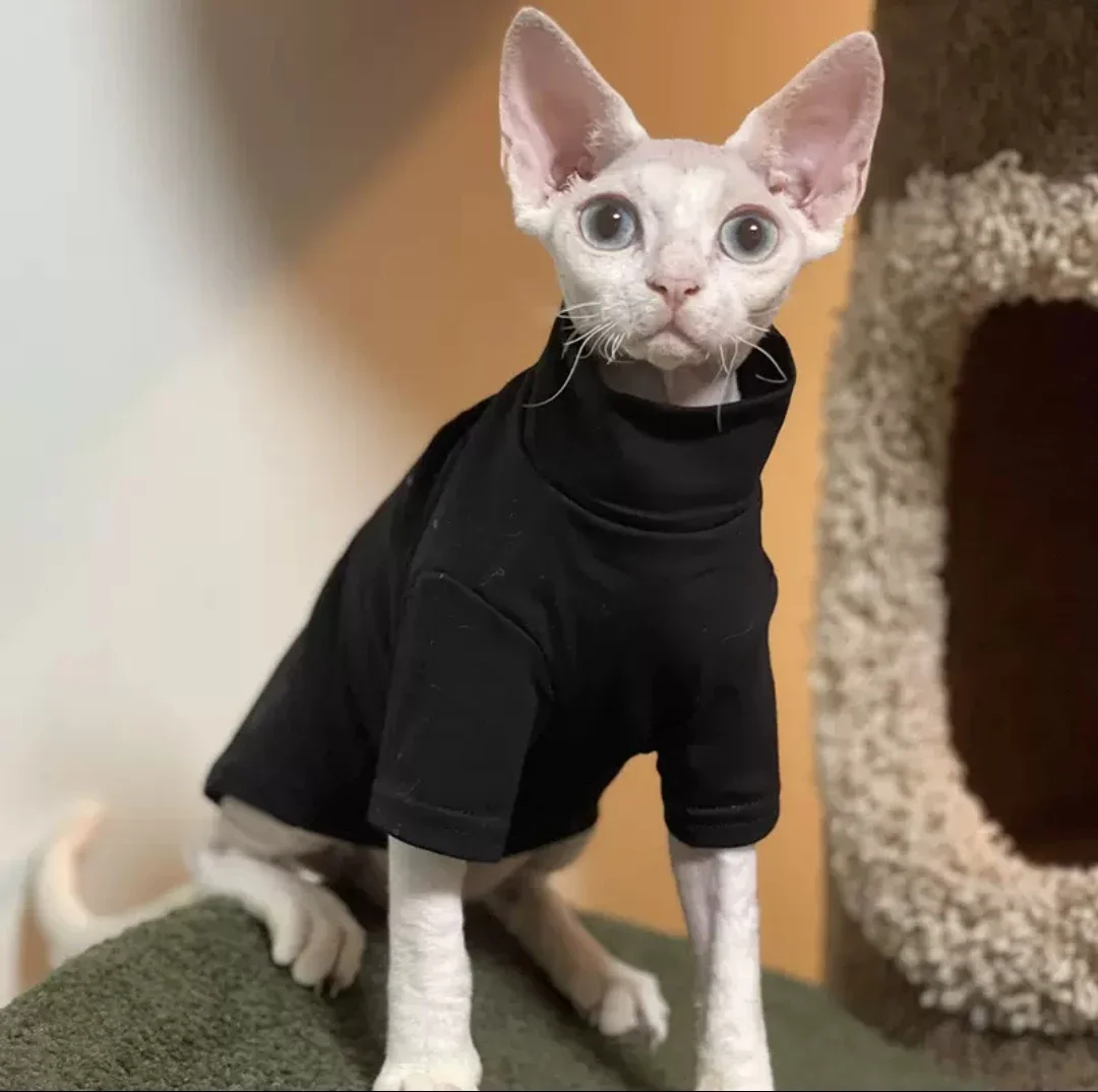 DUOMASUMI-ropa de gato Sphynx autocalentable, ropa interior térmica cálida para gato, Devin Konnis Sphynx, sin pelo
