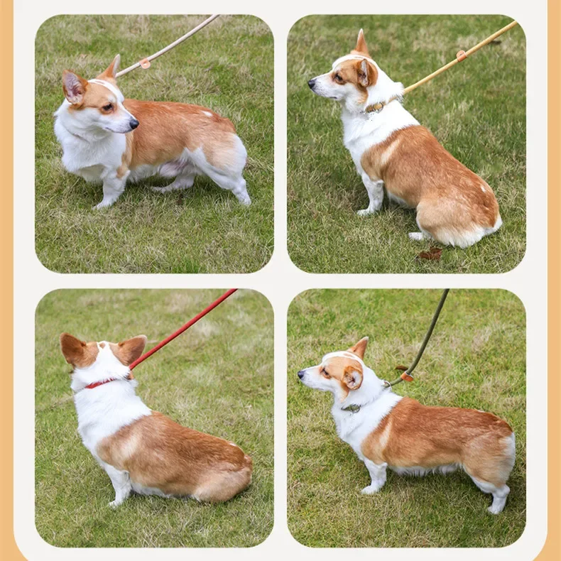 Correa para caminar para perros, cuerda antideslizante, correa de plomo, cuerda trenzada resistente, Collar de bucle ajustable, correas de entrenamiento para perros grandes