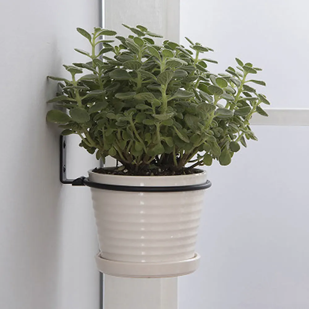 Bandejas para macetas, soporte de anillo para maceta montado en la pared, ganchos para macetero de Metal, colgadores, soporte de pared, estante de almacenamiento de plantas para jardín