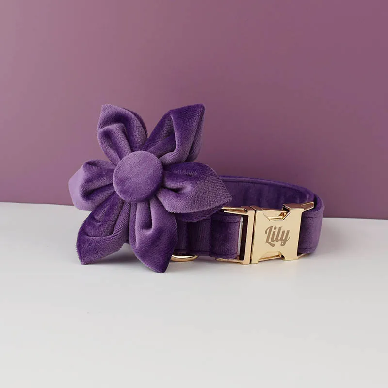 Conjunto de collar y correa de terciopelo morado para perros pequeños, medianos y grandes, placa con nombre grabada personalizada, suministros para mascotas, correa de terciopelo para perros 16