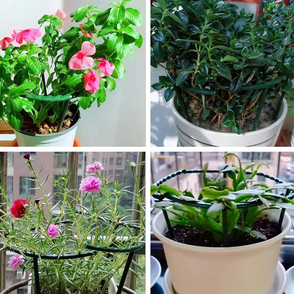 Soporte de plástico para plantas, marco de pila, arreglo de invernadero, varilla fija semicircular, soporte de escalada para plantas y flores de interior