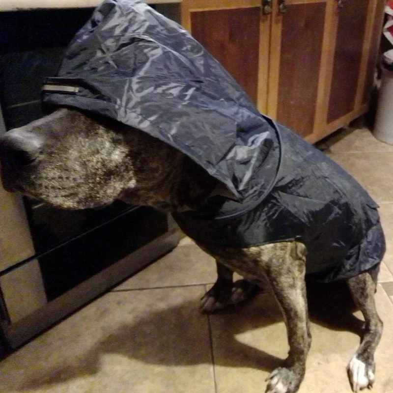 Chubasquero grande para cara de perro, impermeable, de poliéster, con rayas reflectantes de seguridad, para Golden Retriever, Labrador, Husky, S-6XL