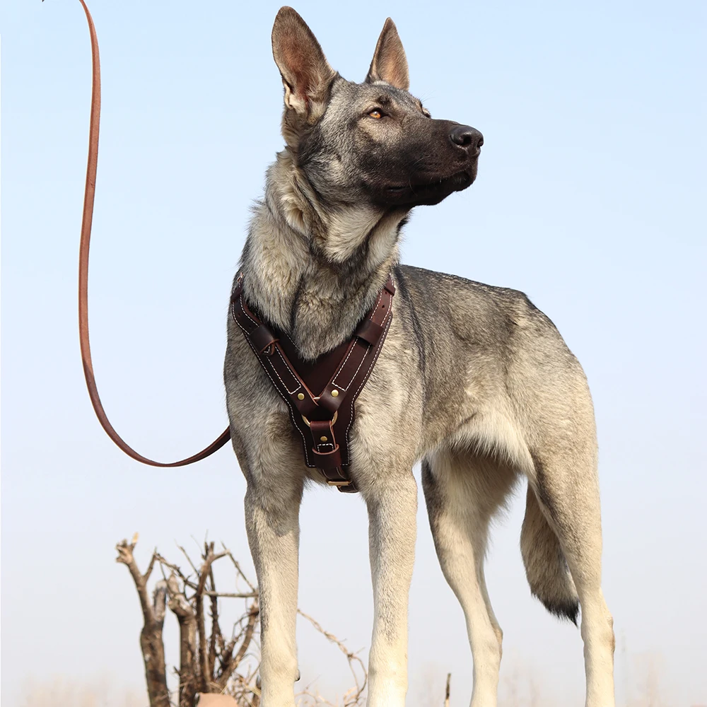 Arnés para perro grande y duradero, Chaleco de cuero genuino, ajustable, Control rápido con asa, suministros para mascotas para Labrador