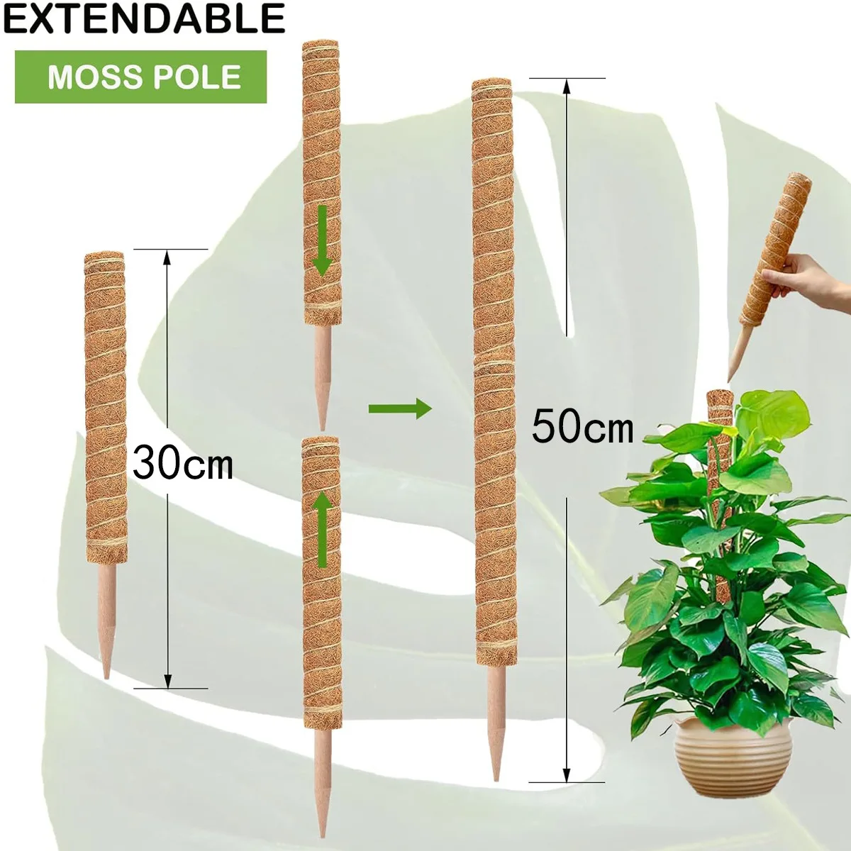 Palo de cacahuete para jardinería transfronteriza, maceta verde, planta fija, bastón de escalada, soporte de flores, bastón de escalada de cacahuete, varilla de musgo, 1 ud.