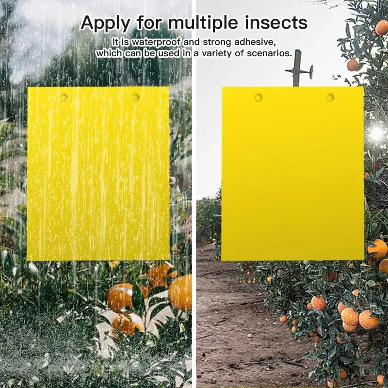 10 unids/set trampas para insectos de tablero de moscas y limo de frutas, huerto de frutas, jardín de melones, granja, trampas para insectos domésticas