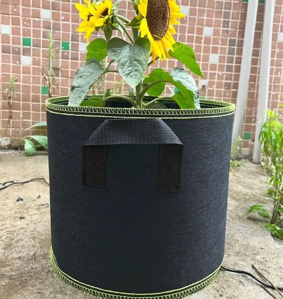 5 Bolsas de Cultivo de Fieltro de 10 y 20 Galones, Gruesas, No Tejidas, para Plantar Vegetales, Plántulas, Patatas y Árboles, Plegables