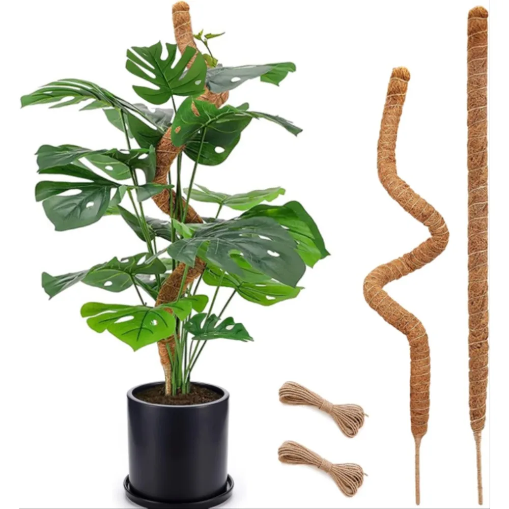 Soporte de plantas Monstera con poste de musgo flexible de 30-100cm para plantas trepadoras de interior, palo de enredaderas de palma de extensión, soporte para plantas trepadoras