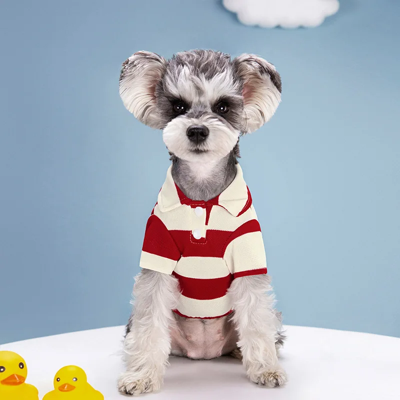 Camiseta Polo para Perro, Ropa Casual de Verano para Perros Pequeños y Grandes, Camiseta para Gatos, Disfraces para Chihuahua, Pug, Yorkshire