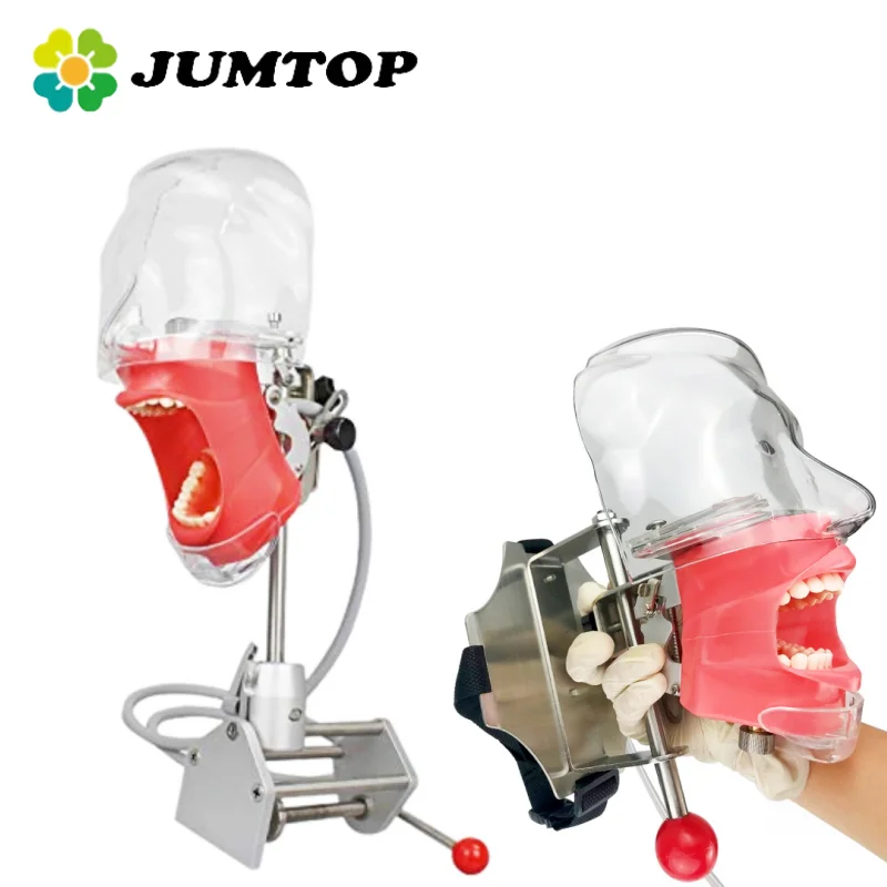 JUMTOP Dental modelo de cabeza Simple práctica simulador de entrenamiento cabeza fantasma Typodont extraíble
