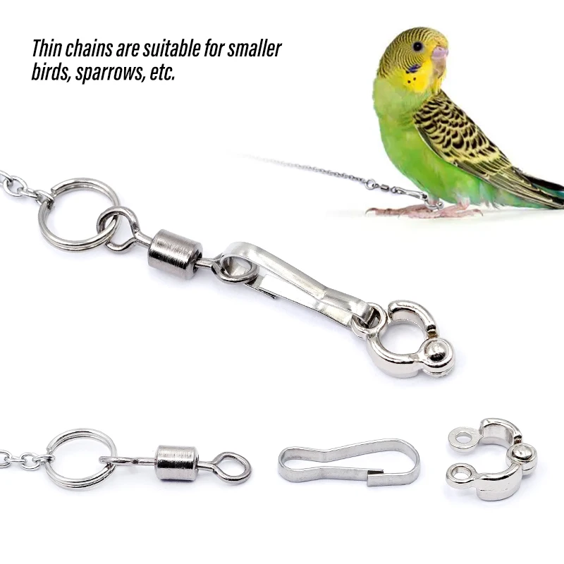 Cadena para pie de loro y pájaro, anillo para tobillo y pie de acero inoxidable, cadena de soporte para entrenamiento de vuelo al aire libre, accesorios para pájaros y palomas