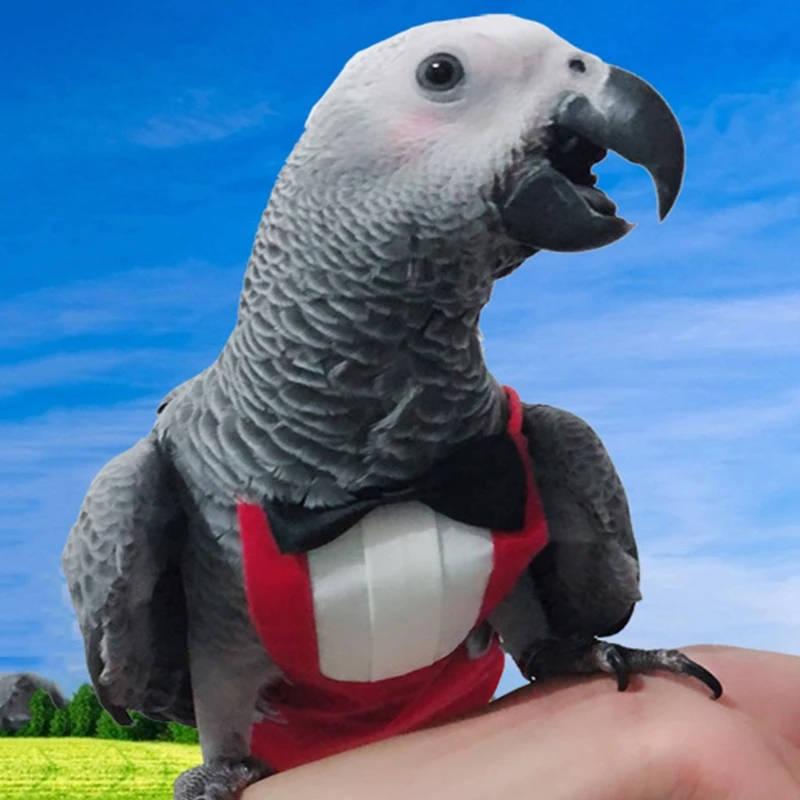 Pañal para pájaros, Suite de vuelo, pañales protectores para loros con capa interior impermeable, bonito traje húmedo para orina