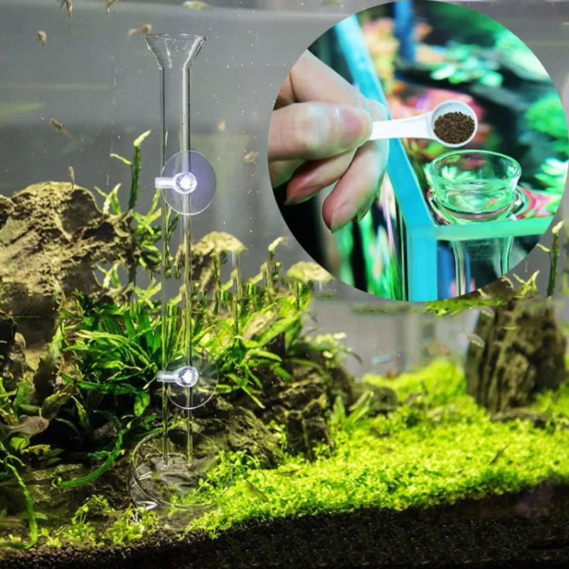 Alimentador de vidrio para acuario, plato de tubo transparente para pecera, camarones, Caracol, tazón alimentador de alimentos, accesorios de alimentación para acuario, alimentadores de camarones