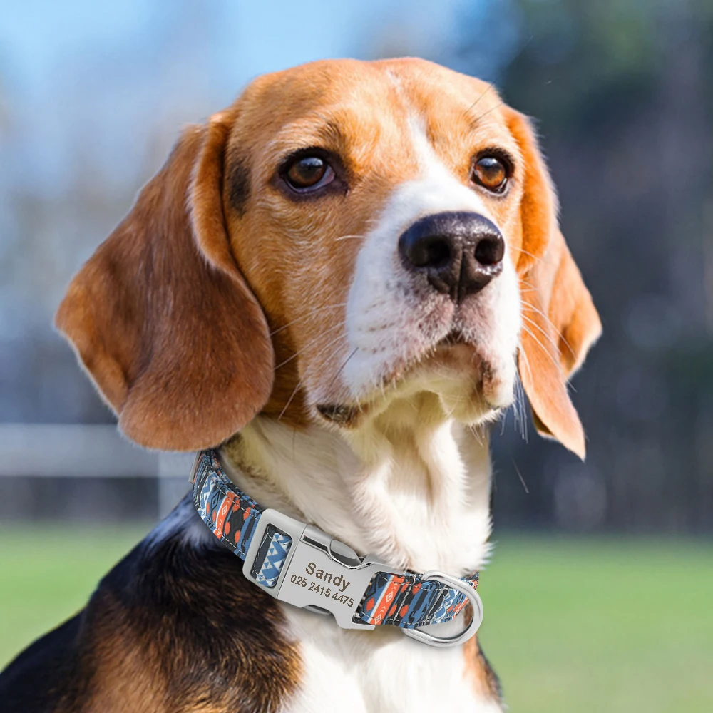 Collar de nailon ajustable para perros, collares de identificación personalizados para gatos con hebilla de nombre grabado, antipérdida para perros pequeños, medianos y grandes