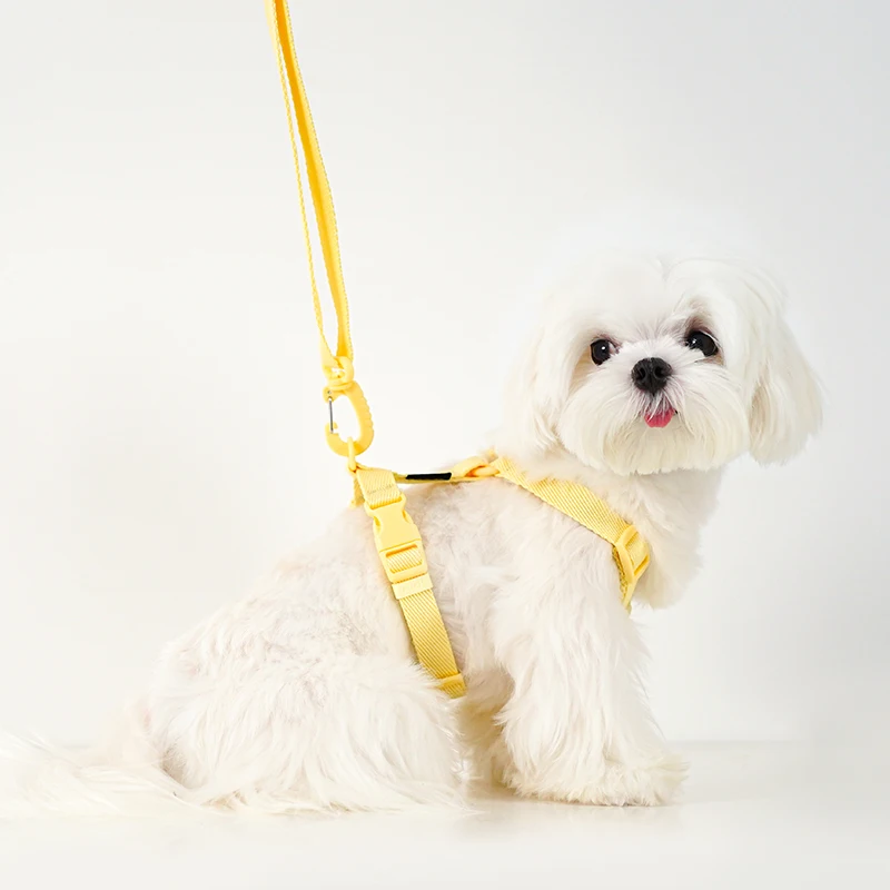 Arnés para perros ajustable, conjunto de correa, Color macarrón, accesorios reflectantes para perros pequeños, suministros para cachorros y gatos, paseos para mascotas