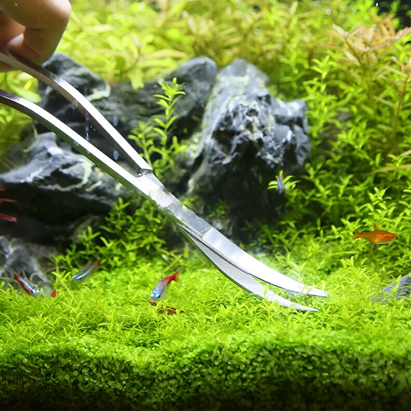 Herramientas de tijera para acuario, pinzas para pecera, plantas, tijeras onduladas, herramientas de limpieza de hierba, soporte de almacenamiento, accesorios para acuario