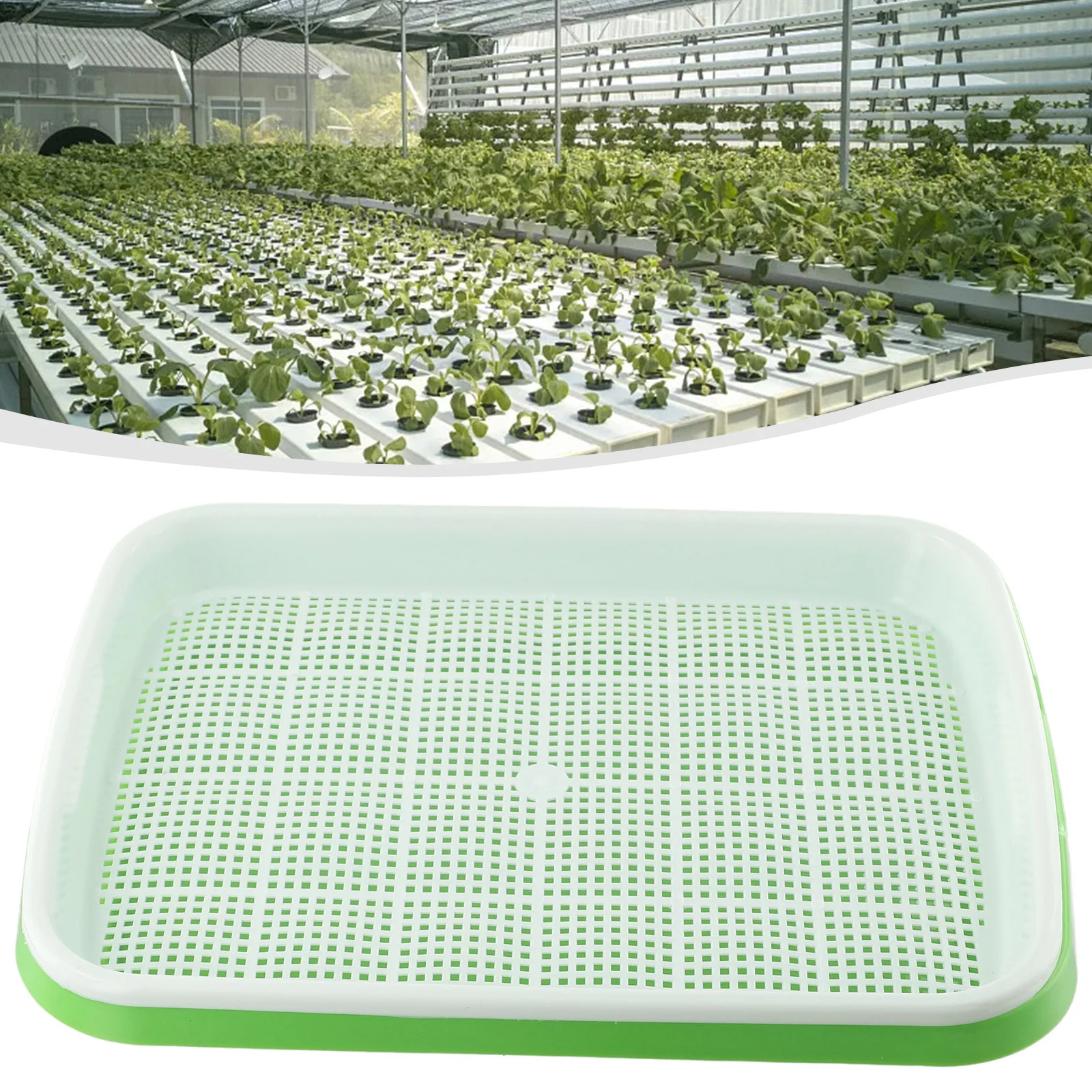Microgreens-bandeja hidropónica para germinar brotes, hortícola, jardín, vivero, maceta, bricolaje