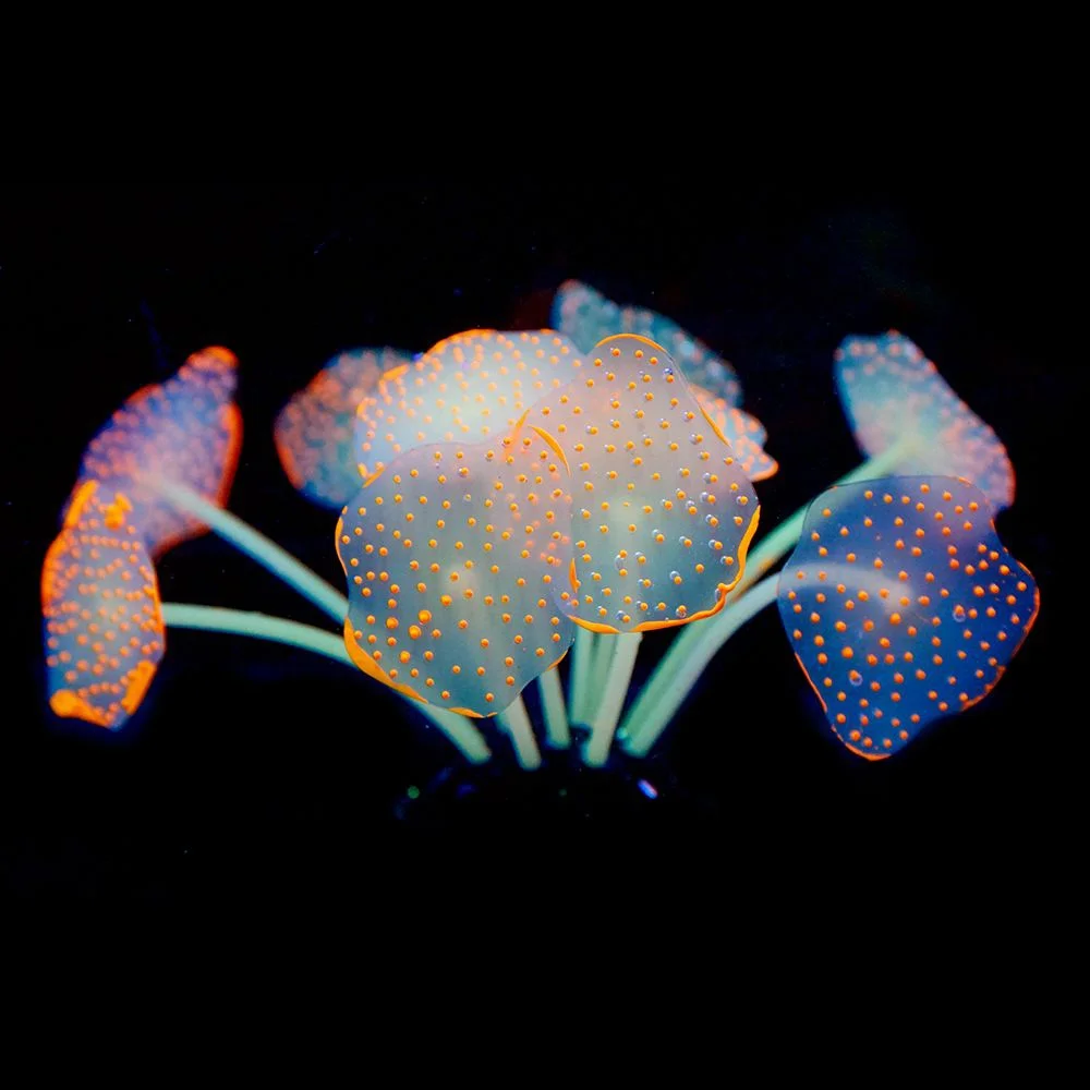 Acuario de Coral con ventosa, planta de silicona de Coral Artificial con adorno de ventosa, decoración de paisaje de agua, accesorios para acuario