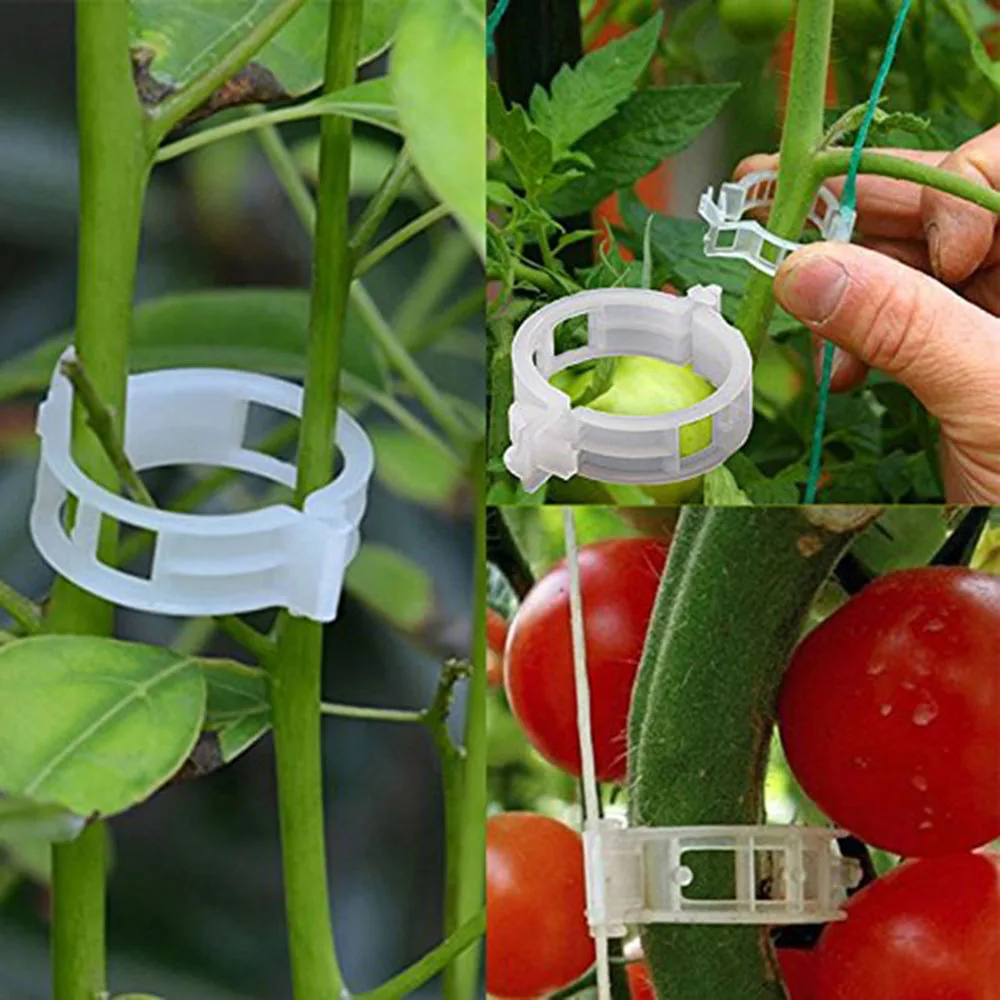Clips de plástico para plantas, accesorio de protección reutilizable, herramienta de fijación de injerto, suministros de jardinería para vegetales y tomates, 50/100 unidades