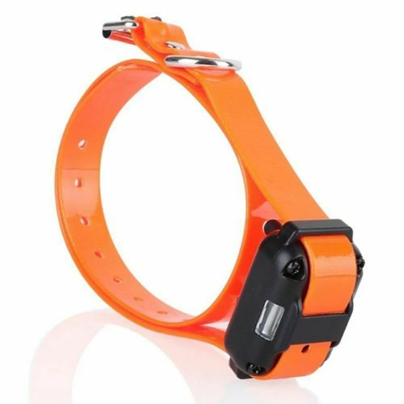 Sólo Collar Electrónico Sin Automático Compre Control Remoto